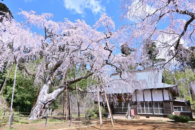 四街道市 YOTSUKAIDO