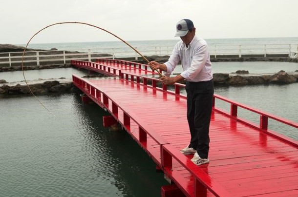太海フラワー 磯釣りセンター