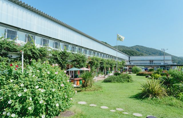都市交流施設・道の駅 保田小学校