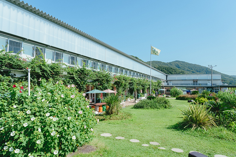都市交流施設・道の駅 保田小学校