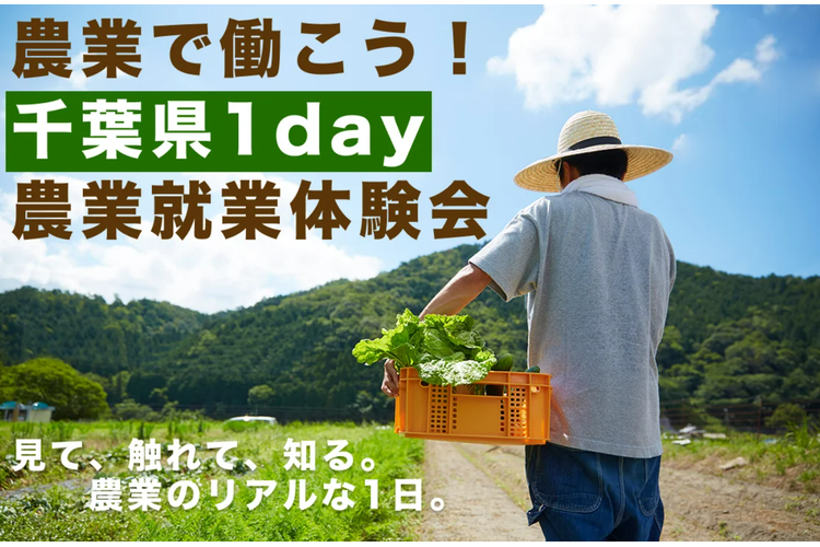 ≪参加者募集中≫★農業を体験できる★【千葉県】農業で働こう！千葉県就業体験事業の開催について